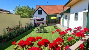 Zahrada ubytování FERIENHAUS Weinviertel