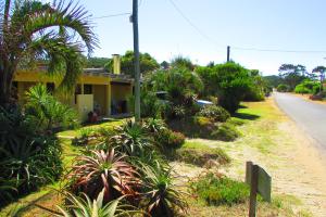 a house on the side of a road with plants at La Nueva Ensenada in La Paloma