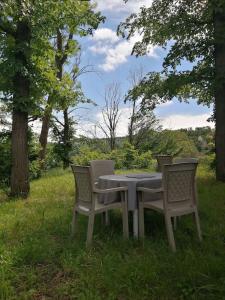 a table and four chairs in the grass at En pleine verdure in Glaignes