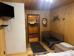 TV a/nebo společenská místnost v ubytování Farmstead Lisova