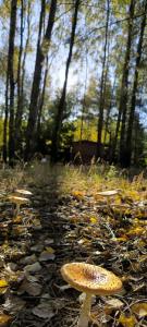 Příroda nedaleko prázdninového domu + 5 fotografií