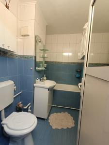 ein kleines Badezimmer mit Toilette und Waschbecken in der Unterkunft Apartament 2 Camere, Etaj 1 in Buzău