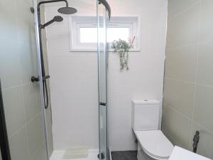 a bathroom with a shower with a toilet and a window at Matfen in Morpeth +32 photos