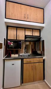 イラクリオン・タウンにあるCentral Studio Semi-basementのシンクと電子レンジ付きの小さなキッチン