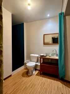a bathroom with a toilet and a sink at Maison des H, au bord de l'Etang in Canisy