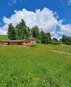 una casa en medio de un campo de hierba en Eco Brújula II, en Villarrica
