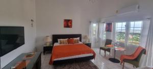 Letto o letti in una camera di Tropical Harbour View