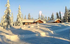Το Nice Home In Sjusjøen With Sauna τον χειμώνα +16 φωτογραφίες