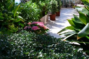Zahrada ubytování Hotel Garisenda