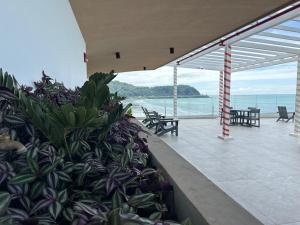 Paisaje cerca de este apartahotel