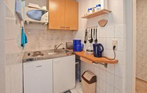 Ferienwohnung Waren Müritz في Warenshof: مطبخ صغير مع حوض وميكروويف