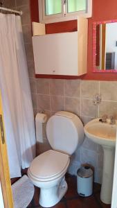 a small bathroom with a toilet and a sink at Cabaña Mauka in El Bolsón