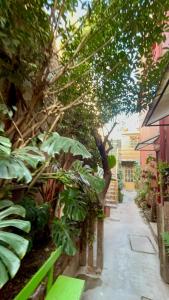 a garden with trees and plants on a sidewalk at SiempreViva Hospedaje By GEstores in Chignahuapan