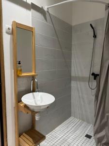 a bathroom with a sink and a shower with a mirror at Les Pénates de Loire in Ancenis