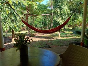 Φωτογραφία από το άλμπουμ του Holy Spirit Hostel Ometepe σε Santa Cruz +129 φωτογραφίες