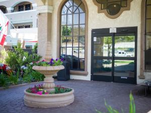 Zahrada ubytování Quality Inn & Suites Camarillo-Oxnard