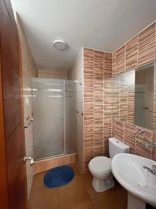 a bathroom with a shower and a toilet and a sink at Departamento COCO - San Bartolo in San Bartolo