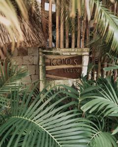 Κήπος έξω από το Koos Tulum Hotel
