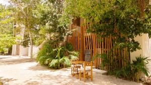Κήπος έξω από το Koos Tulum Hotel