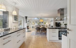 Kuchyň nebo kuchyňský kout v ubytování 3 Bedroom Pet Friendly Home In Hornbæk + 10 fotografií