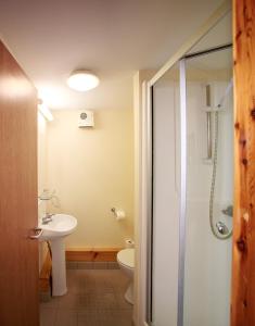 a bathroom with a shower and a toilet and a sink at Troy Self Catering Village Limerick Ireland in Limerick