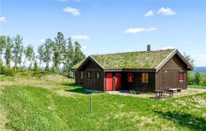 a small house with a grass roof on a field at Stunning Home In Gol With Sauna in Gol