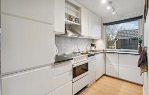 Kuchyň nebo kuchyňský kout v ubytování Pet Friendly Home In Fanø With Wifi