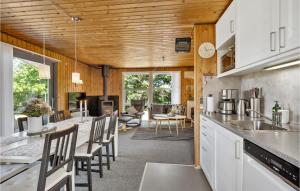 Η κουζίνα ή μικρή κουζίνα στο 3 Bedroom Beautiful Home In Hemmet