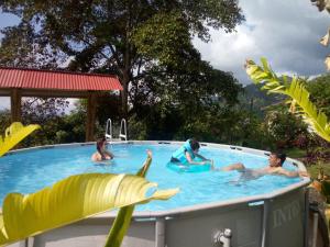 a group of people in a swimming pool at Hospedaje las margaritas in Tena