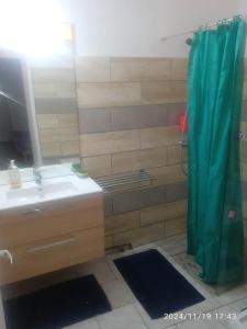 a bathroom with a sink and a shower at Hibiscus Location in Le Vauclin +7 photos