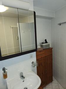 a bathroom with a sink and a mirror at Ferienwohnung Rosso Vino 1 in Meißen +17 photos