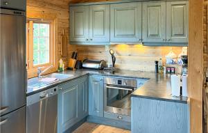 a kitchen with blue cabinets and a sink at Lovely Home In Veggli With Kitchen in Veggli