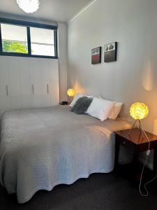 a bedroom with a large bed and a window at Manorburn Apartments Luxury Studio Apartment Central Otago in Ranfurly