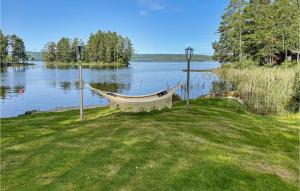 a hammock sitting on the grass next to a lake at Cozy Home In Glava With Sauna in Glava +11 photos