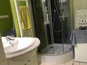 une salle de bain avec une douche, des toilettes et un lavabo dans l'établissement Appartement 3 pièces pour 6 pers, animaux admis, proche pistes - FR-1-636-234, à Orcières