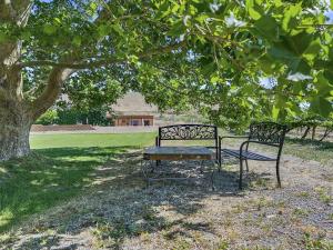 a bench sitting under a tree in a park at Sparn Mountain Hideaway home in Grand Junction +27 photos