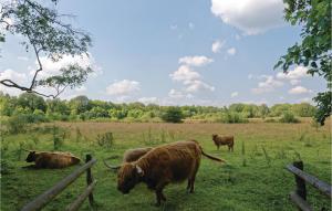 Dieren bij het vakantiehuis of in de buurt