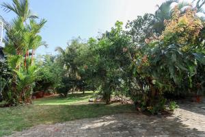 Φωτογραφία από το άλμπουμ του Urban Garden Vacation Rental σε Kandy +26 φωτογραφίες