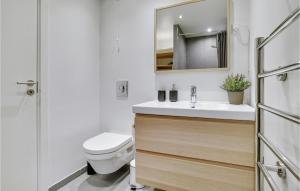 Lovely Apartment In Helsingør With Wifi的一间浴室