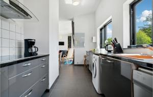 Kuchyň nebo kuchyňský kout v ubytování 3 Bedroom Awesome Home In Vig