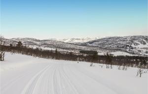 a snow covered road with trees and mountains in the background at 3 Bedroom Cozy Apartment In Ål in Skarsgård