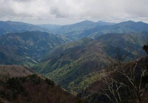 公寓周边自然景观