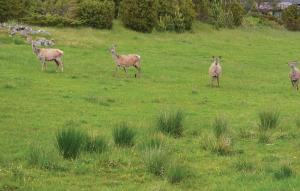 Imagen de la galería de 2 Bedroom Cozy Apartment In Sandstad, en Skipnes