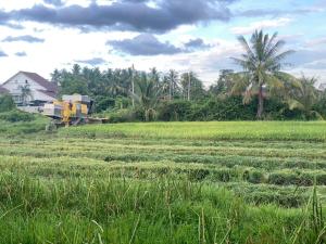 Fotografie z fotogalerie ubytování D'Bendang Homestay v destinaci Tumpat