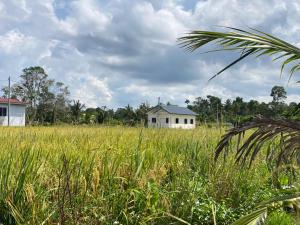 Fotografie z fotogalerie ubytování D'Bendang Homestay v destinaci Tumpat