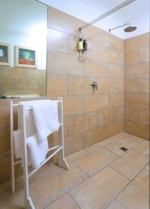 a bathroom with a shower with a towel and a chair at Rosedene Guest House in Cape Town