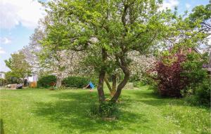 Κήπος έξω από το Cozy Apartment In Wurster Nordseeküste