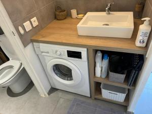 une salle de bain avec un lavabo et une machine à laver dans l'établissement Charmant appartement avec piscine et vue sur mer, au Diamant