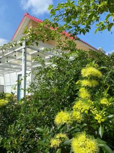 Zahrada ubytování Lightly Homestay
