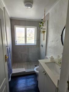 Un baño con ducha, inodoro y ventana. en Majestic Secret, en Ciudad del Cabo